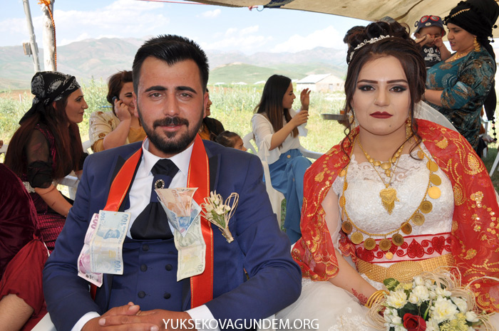 Yüksekova Hafta içi Düğünleri 5