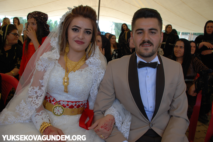 Yüksekova Düğünleri (14-15) Temmuz 2018 11