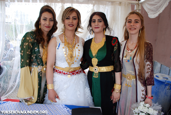 Yüksekova Düğünleri (14-15) Temmuz 2018 289