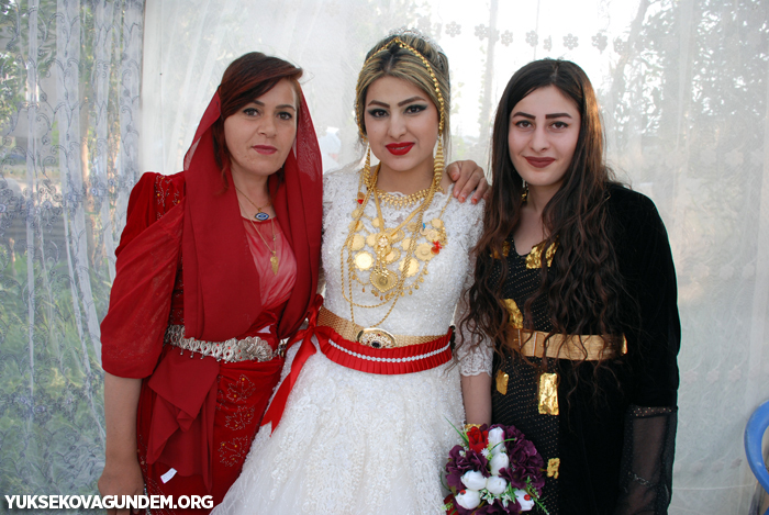 Yüksekova Düğünleri (14-15) Temmuz 2018 372