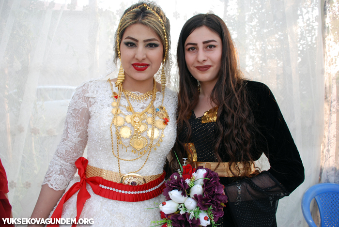 Yüksekova Düğünleri (14-15) Temmuz 2018 373