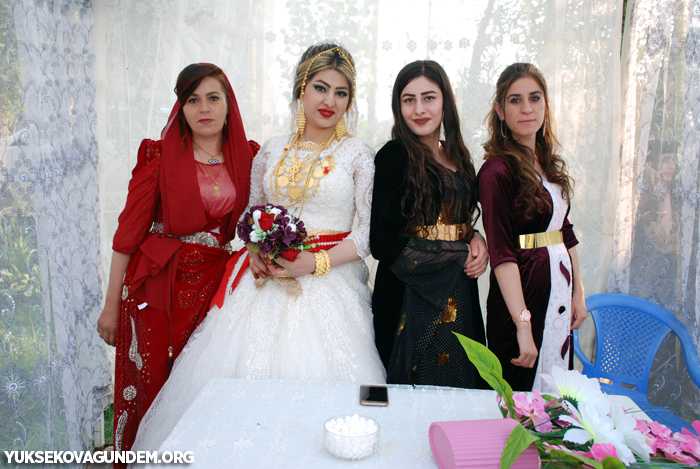 Yüksekova Düğünleri (14-15) Temmuz 2018 374