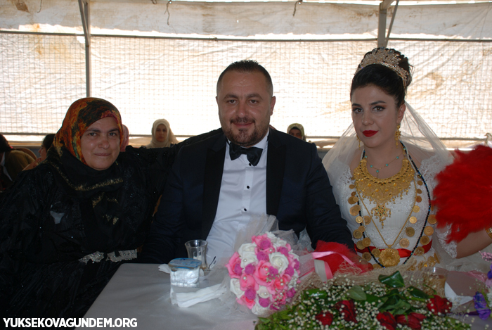 Yüksekova Düğünleri (28-29) Temmuz 2018 207