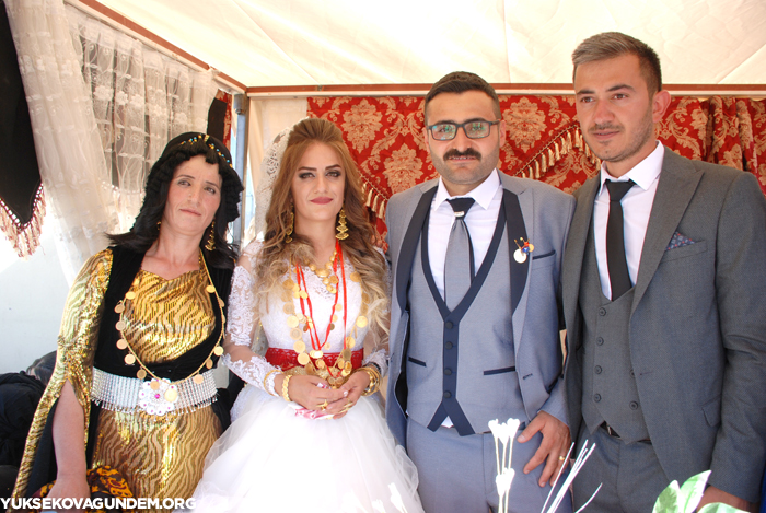 Yüksekova Düğünleri (11-12) Ağustos 2018 210