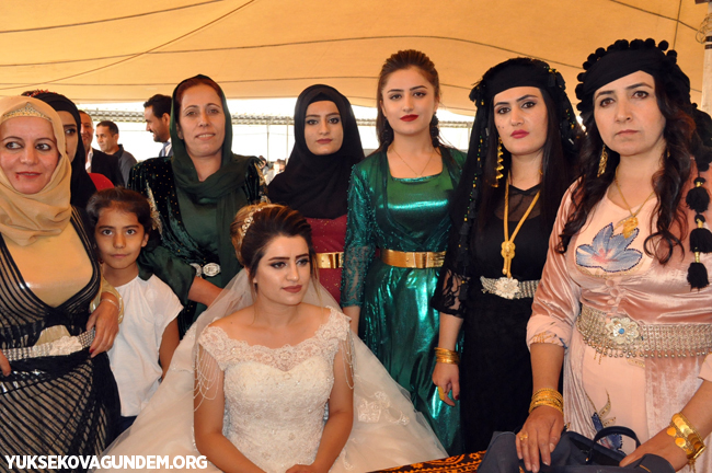 Yüksekova Düğünleri (13-14) Ekim 2018 388