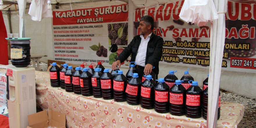 Yüksekova'da Yöresel Ürünler Fuarı Açıldı