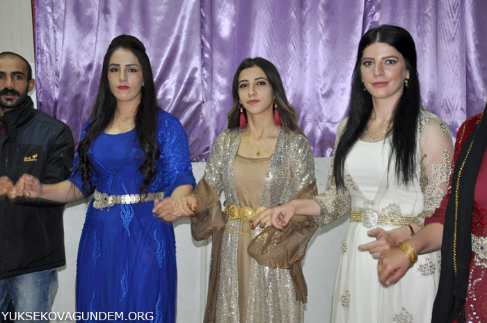 Yüksekova Düğünleri (10-11) Kasım 2018 49