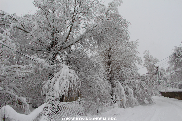 Yüksekova'da kar yağışı hayatı durma noktasına getirdi 1