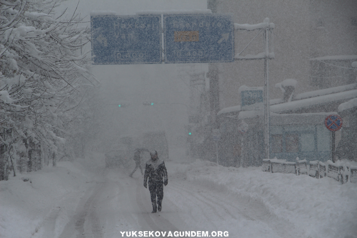 Yüksekova'da kar yağışı hayatı durma noktasına getirdi 22