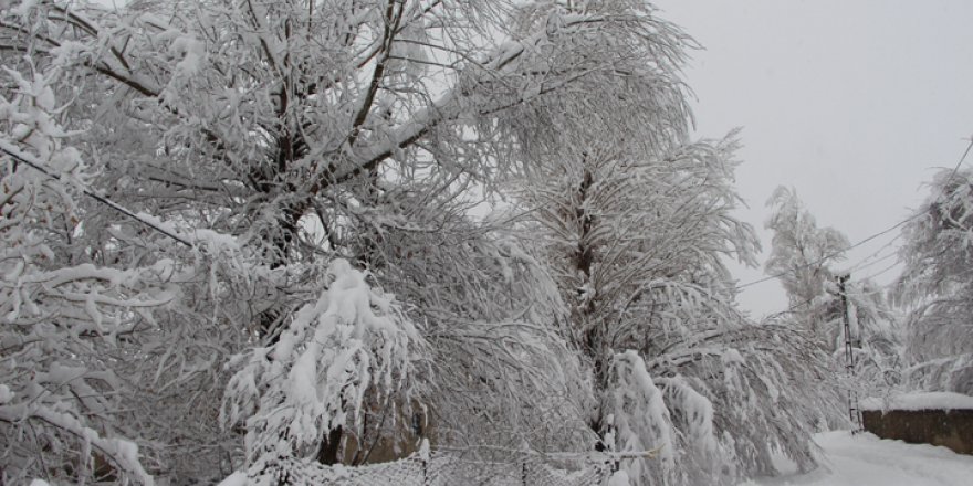 Yüksekova'da kar yağışı hayatı durma noktasına getirdi