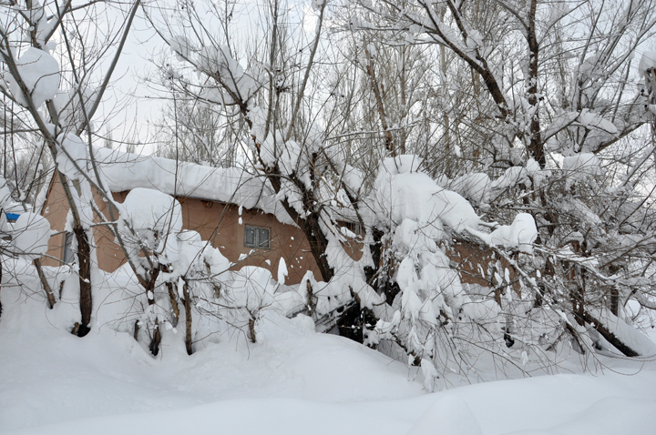 Yüksekova’da kar manzaraları 1