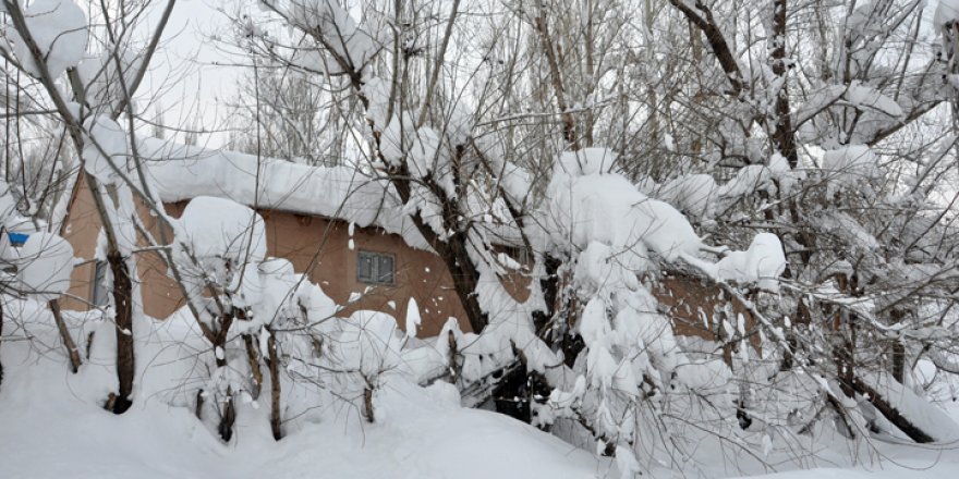 Yüksekova’da kar manzaraları