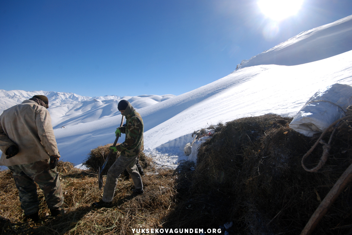 Yüksekovalı besicilerin zorlu kış mesaisi 16