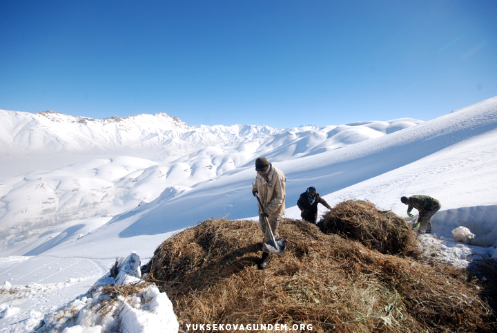 Yüksekovalı besicilerin zorlu kış mesaisi 17