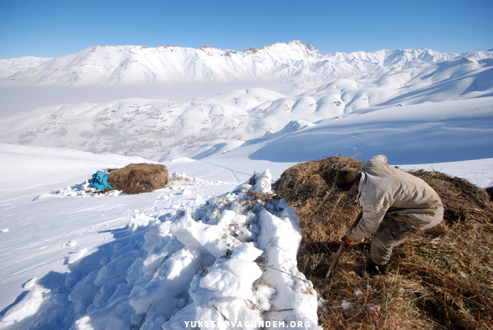 Yüksekovalı besicilerin zorlu kış mesaisi 18