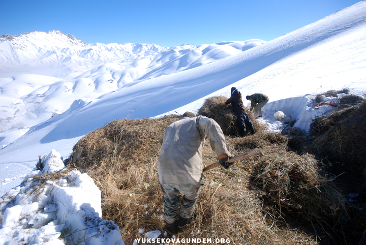 Yüksekovalı besicilerin zorlu kış mesaisi 19