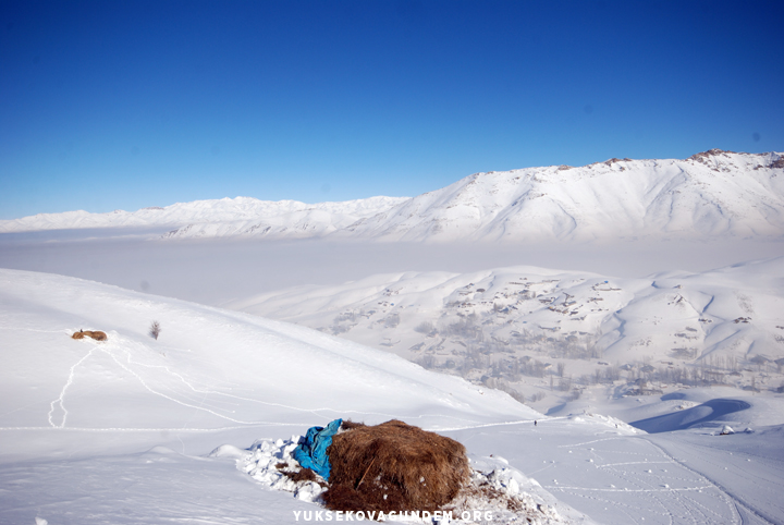 Yüksekovalı besicilerin zorlu kış mesaisi 22