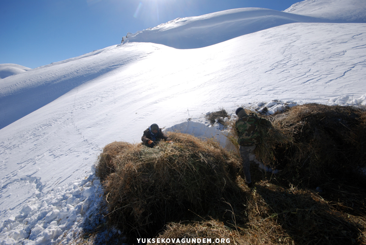 Yüksekovalı besicilerin zorlu kış mesaisi 23