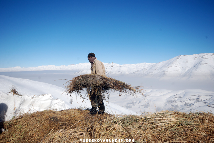 Yüksekovalı besicilerin zorlu kış mesaisi 24