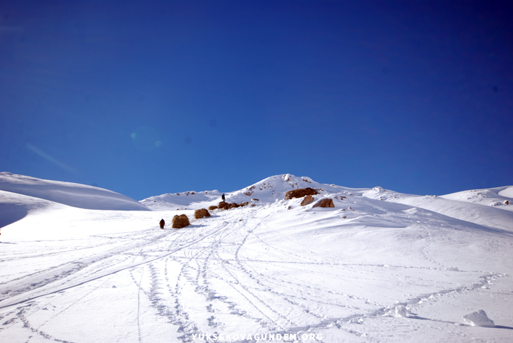 Yüksekovalı besicilerin zorlu kış mesaisi 30