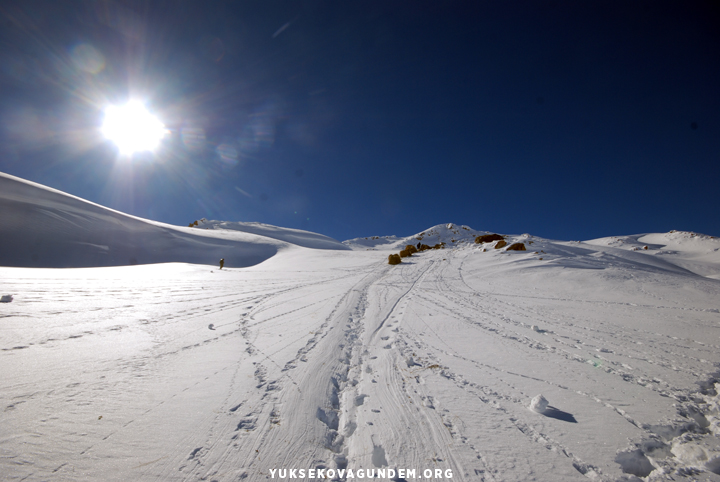 Yüksekovalı besicilerin zorlu kış mesaisi 31