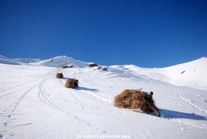 Yüksekovalı besicilerin zorlu kış mesaisi 33