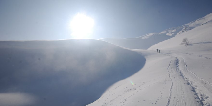 Yüksekovalı besicilerin zorlu kış mesaisi