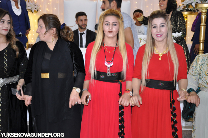 Yüksekova Düğünleri (29-30) Haziran 2019 240