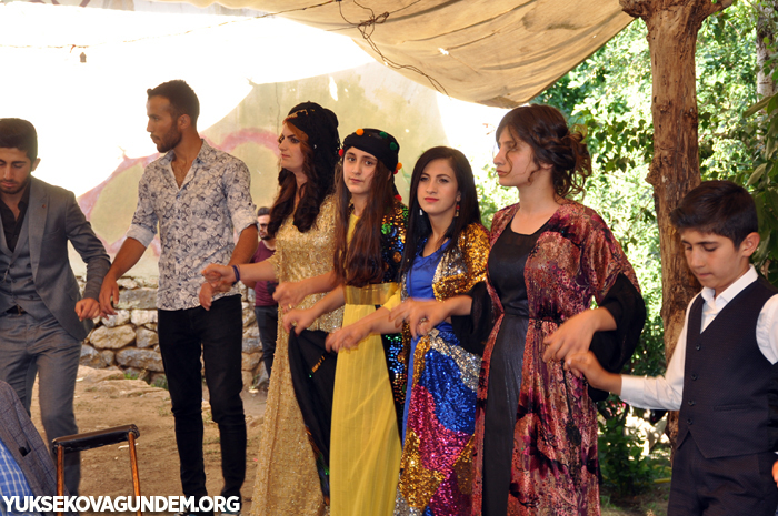 Yüksekova Düğünleri (29-30) Haziran 2019 371