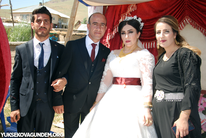 Yüksekova Düğünleri (29-30) Haziran 2019 419