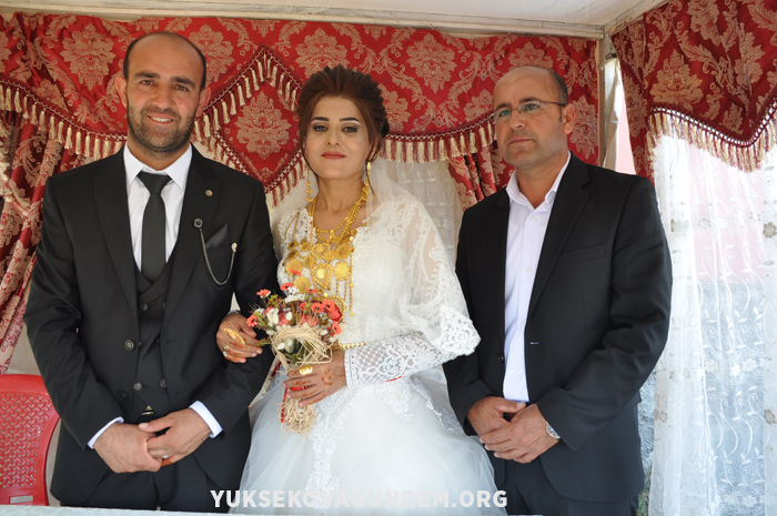 Yüksekova Düğünleri (01 Eylül 2019) 232
