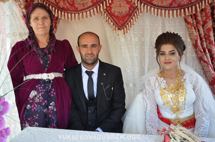 Yüksekova Düğünleri (01 Eylül 2019) 235