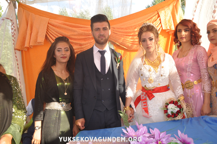 Yüksekova Düğünleri (01 Eylül 2019) 31