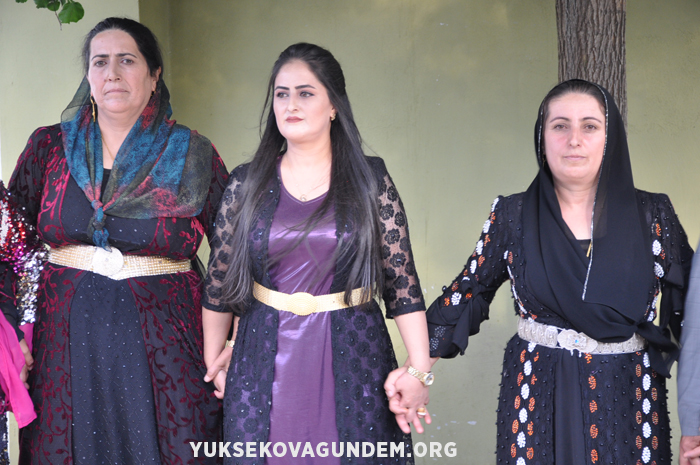 Yüksekova Düğünleri (01 Eylül 2019) 81