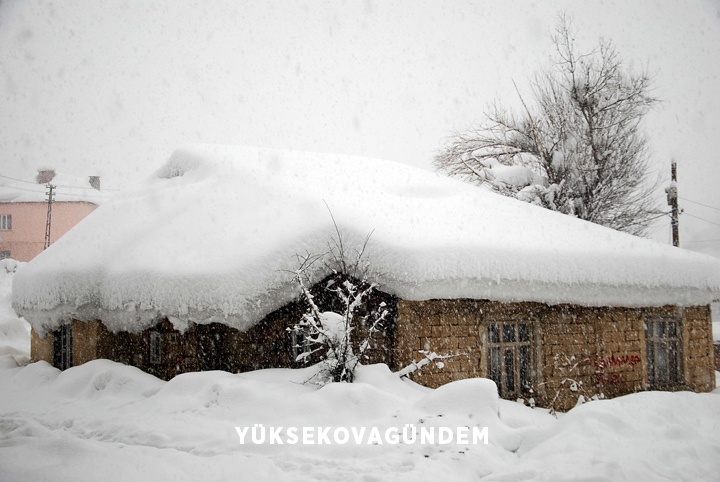 Yüksekova'da kar yağışı etkisini sürdürüyor 1