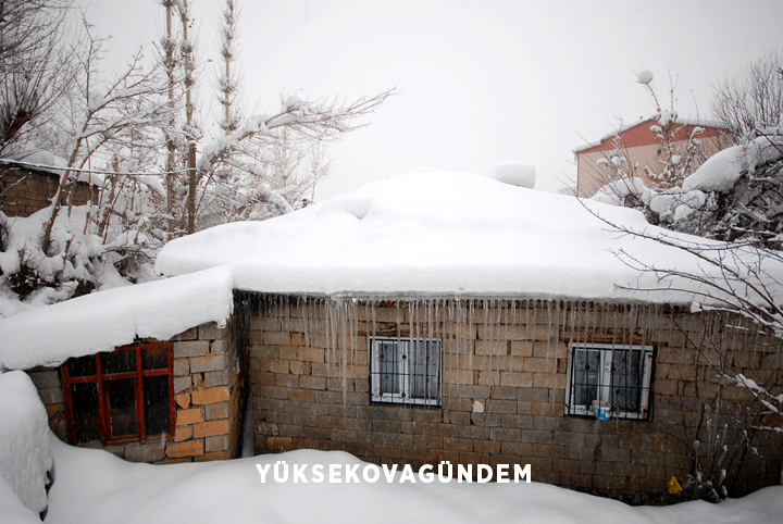 Yüksekova'da kar yağışı etkisini sürdürüyor 10