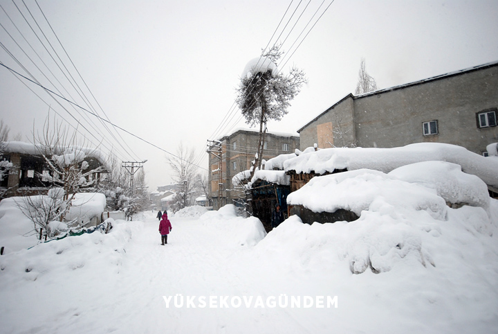 Yüksekova'da kar yağışı etkisini sürdürüyor 16