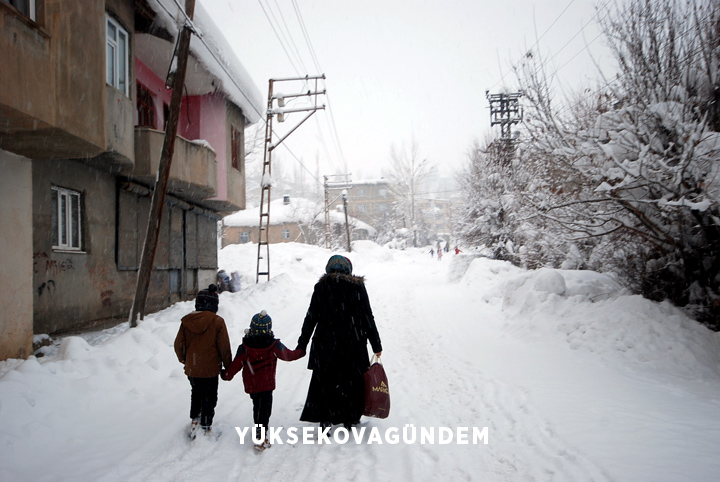Yüksekova'da kar yağışı etkisini sürdürüyor 19