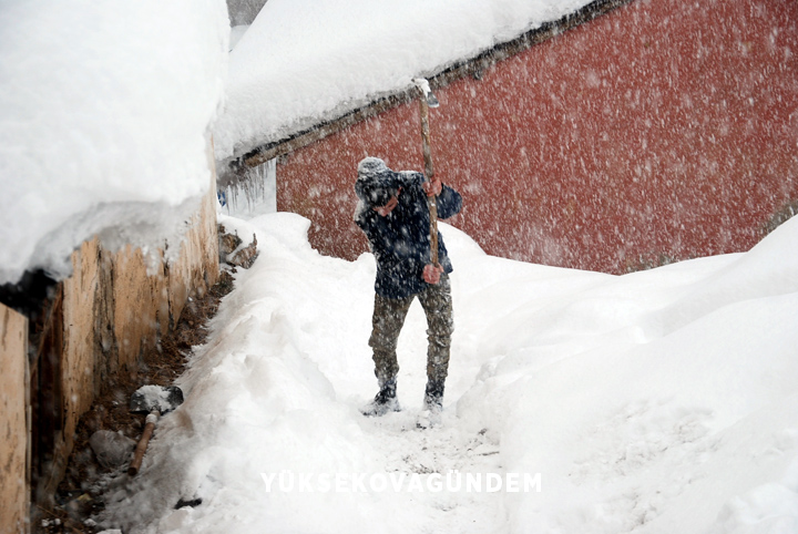 Yüksekova'da kar yağışı etkisini sürdürüyor 2