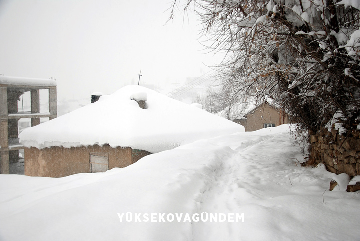 Yüksekova'da kar yağışı etkisini sürdürüyor 4