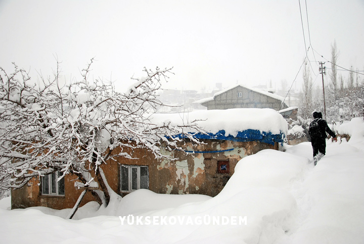 Yüksekova'da kar yağışı etkisini sürdürüyor 6