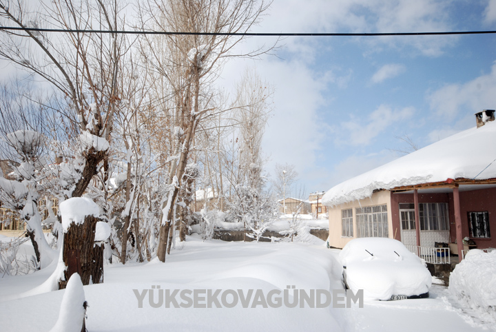 Yüksekova'da kar yağışı hayatı felç etti 1