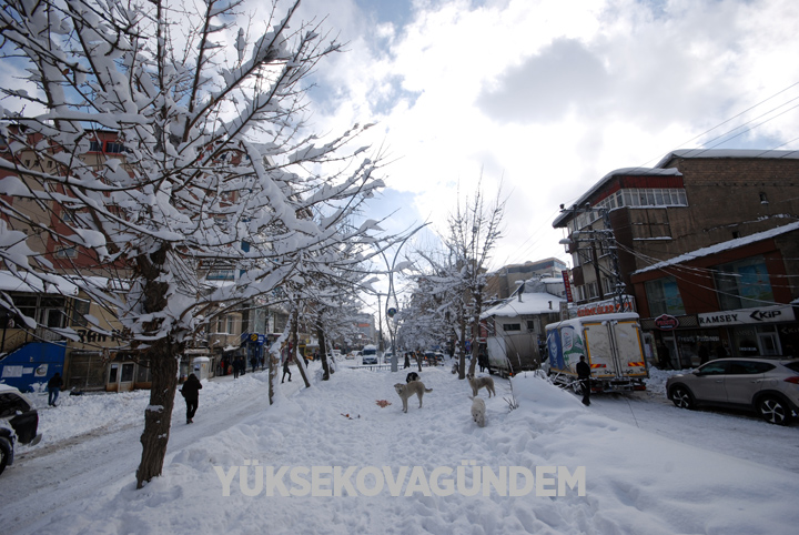 Yüksekova'da kar yağışı hayatı felç etti 13