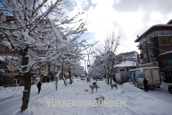 Yüksekova'da kar yağışı hayatı felç etti 14