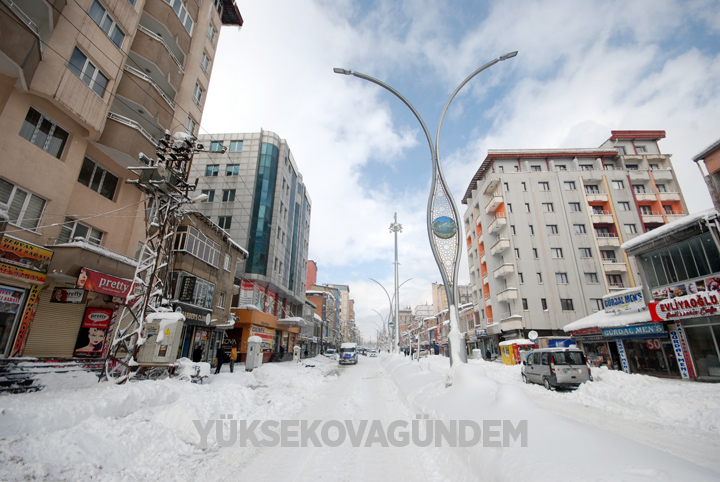Yüksekova'da kar yağışı hayatı felç etti 6