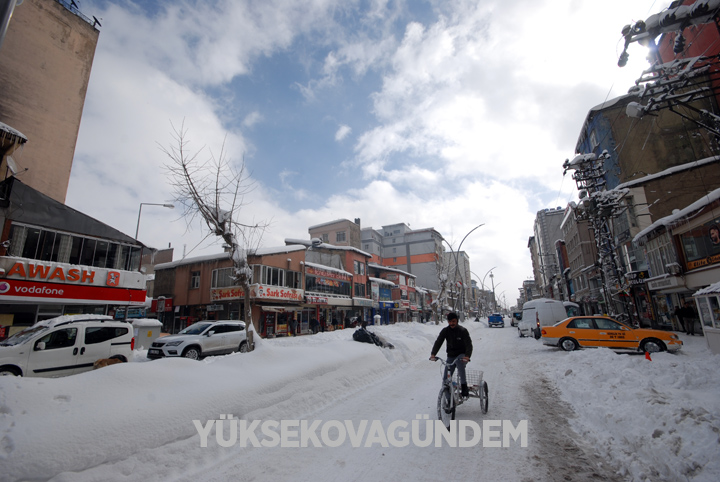 Yüksekova'da kar yağışı hayatı felç etti 8