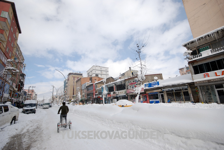 Yüksekova'da kar yağışı hayatı felç etti 9