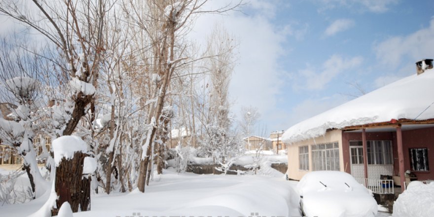 Yüksekova'da kar yağışı hayatı felç etti