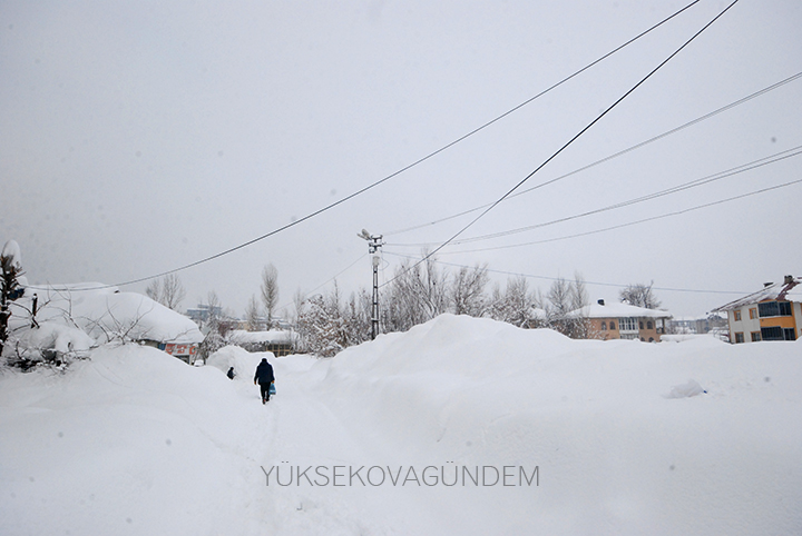 Yüksekova Kaymakamı Doğramacı: Bir afet yaşıyoruz 12