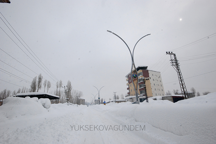 Yüksekova Kaymakamı Doğramacı: Bir afet yaşıyoruz 15